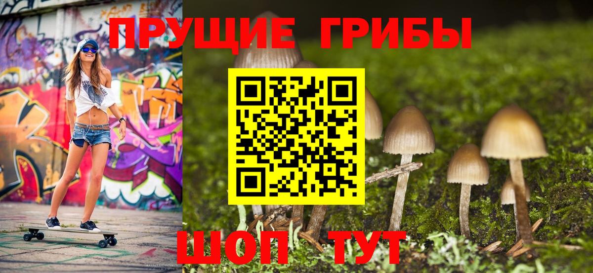 Псилоцибиновые грибы ЛСД Борзя