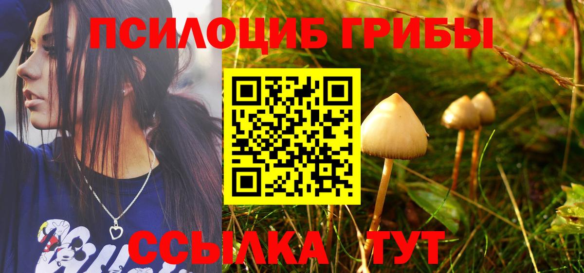 ГАШ Борзя